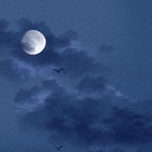 女人的㊙️被男人桶爽网站
